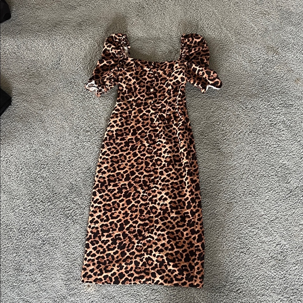 Zara leopard dress